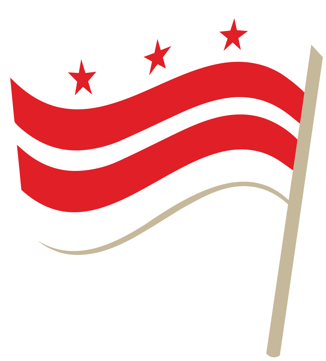 DC Flag Image