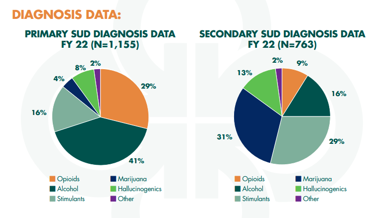 pie chart graphic showing primary and secondary SUD diagnosis data.